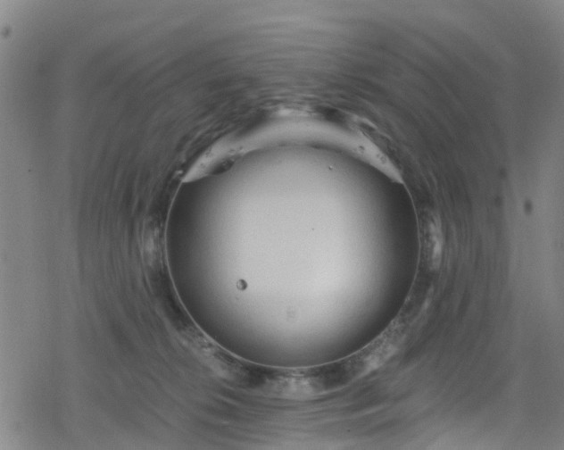 X0000078300276200611101141