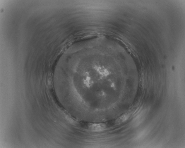 X0000078300277200611101141