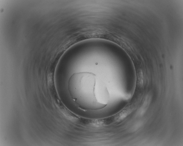 X0000078300278200611101141