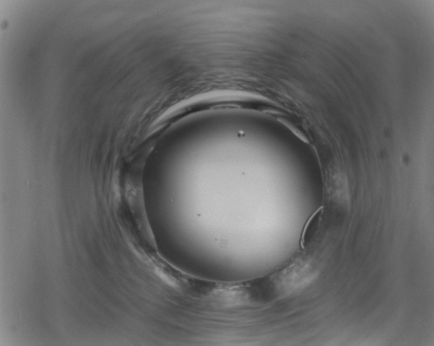 X0000078300280200611101141