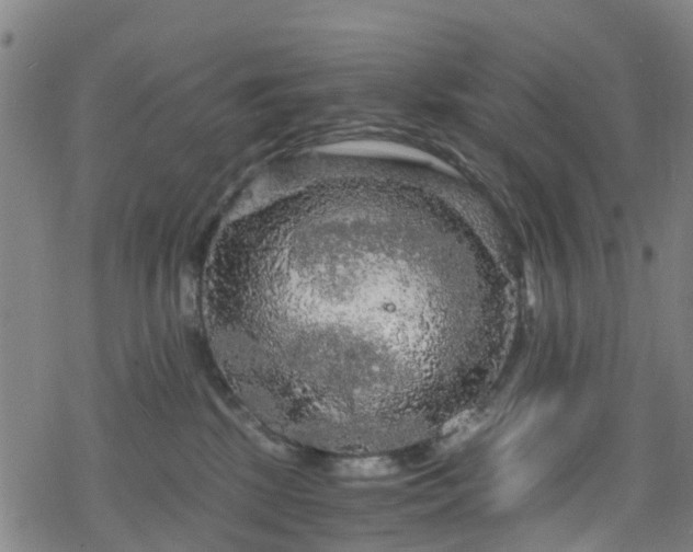 X0000078300281200611101141