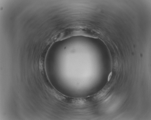 X0000078300282200611101141