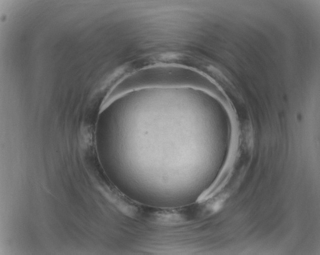 X0000078300284200611101141