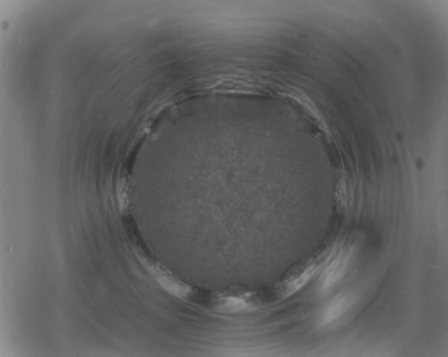 X0000078300285200611101141