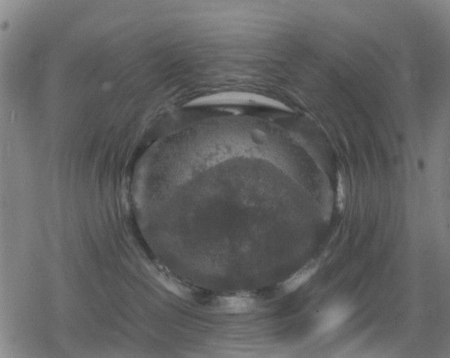 X0000078300286200611101141