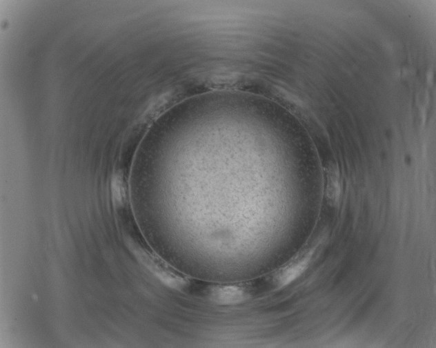 X0000078300287200611101141