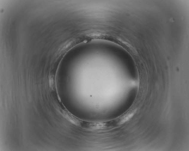 X0000078300288200611101141