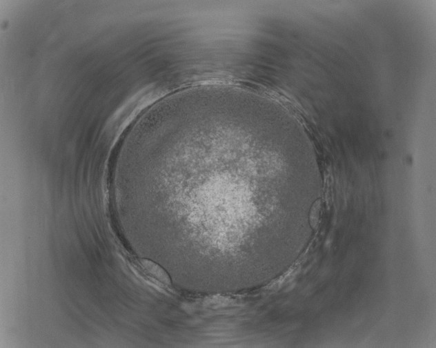 X0000078300290200611101140