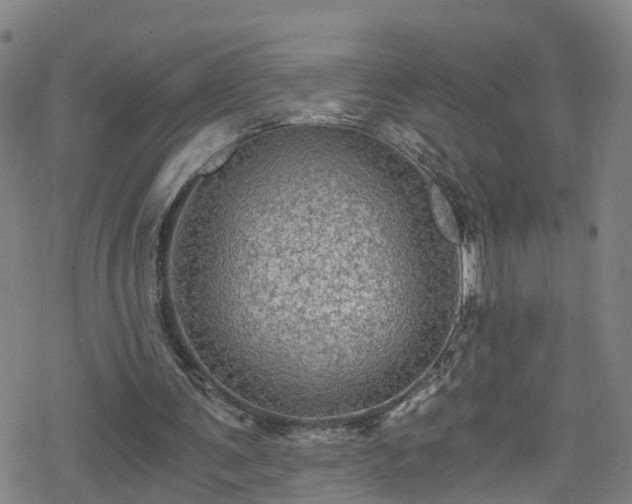 X0000078300291200611101140