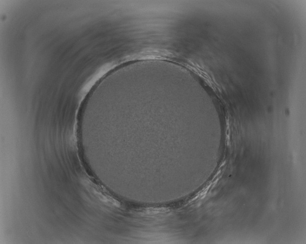 X0000078300292200611101140