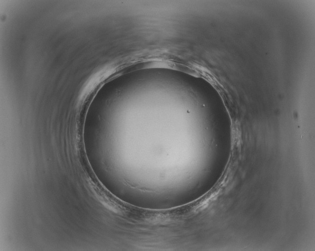 X0000078300293200611101140