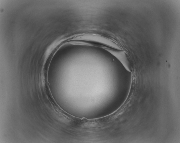 X0000078300294200611101140