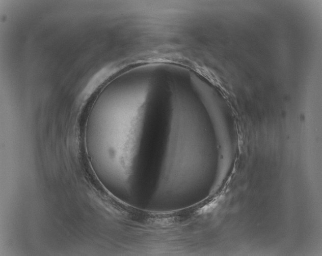 X0000078300295200611101140