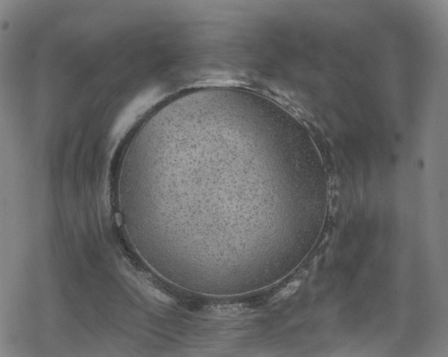 X0000078300296200611101140