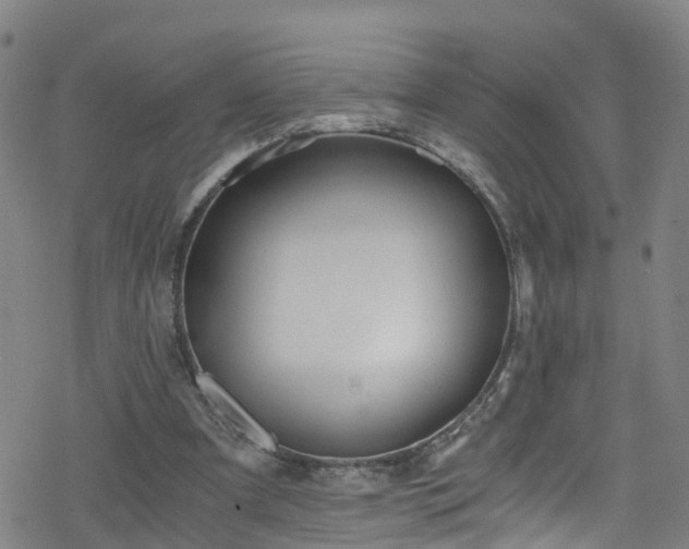 X0000078300297200611101140