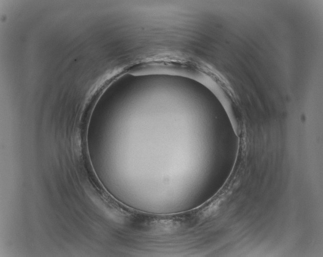 X0000078300298200611101140