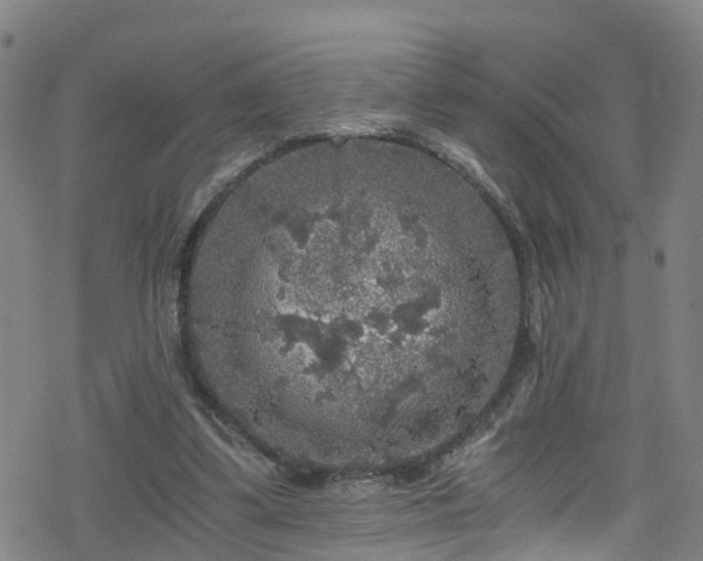 X0000078300299200611101140