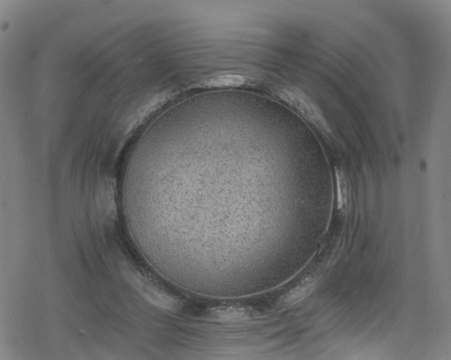 X0000078300300200611101140