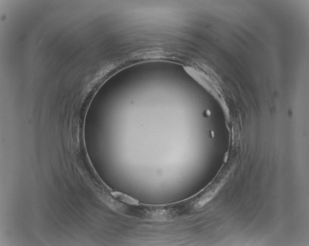 X0000078300301200611101140