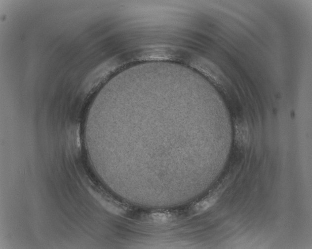 X0000078300302200611101140