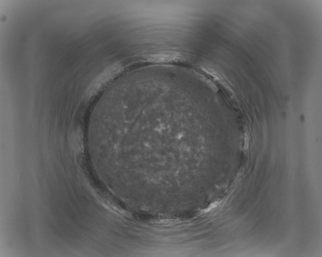 X0000078300303200611101140