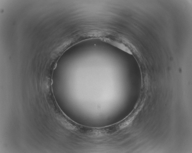 X0000078300305200611101140