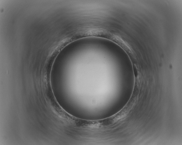 X0000078300306200611101140