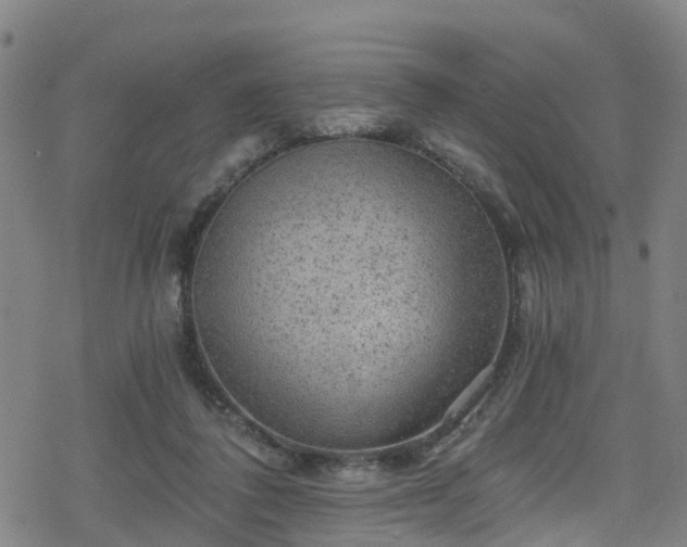 X0000078300308200611101140