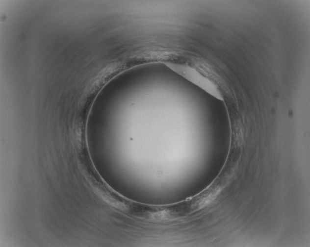 X0000078300309200611101140