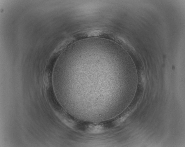 X0000078300311200611101140