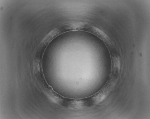 X0000078300313200611101140