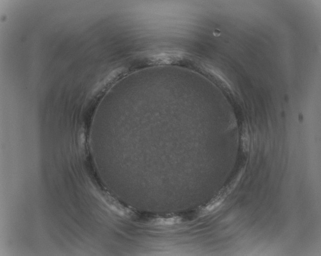 X0000078300314200611101140