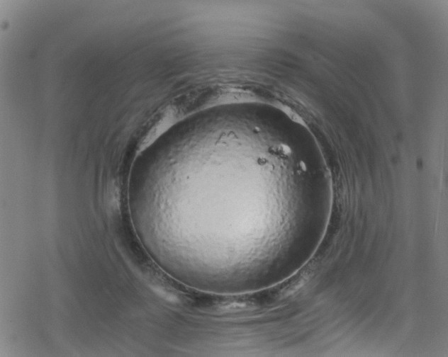 X0000078300315200611101140