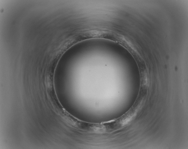 X0000078300317200611101140