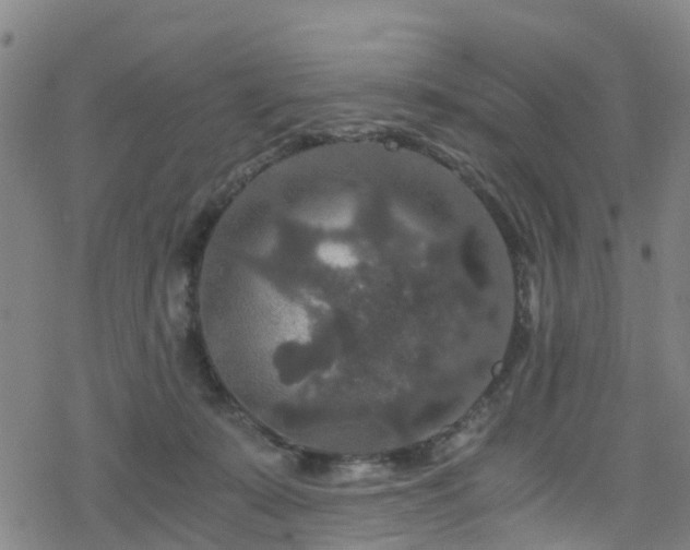 X0000078300319200611101140