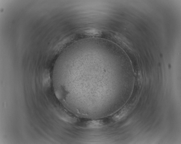 X0000078300320200611101140