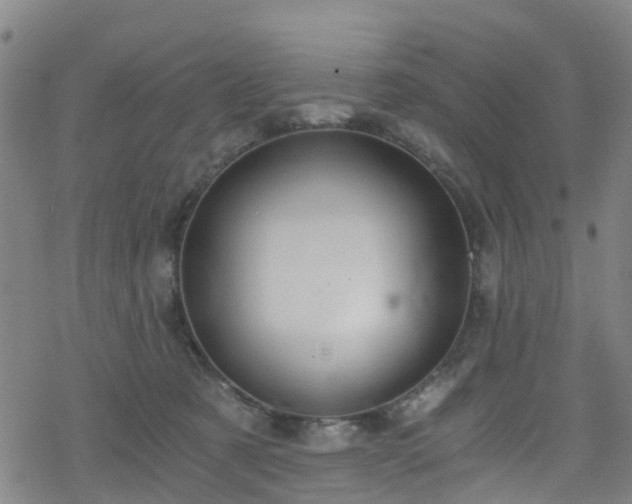 X0000078300321200611101140