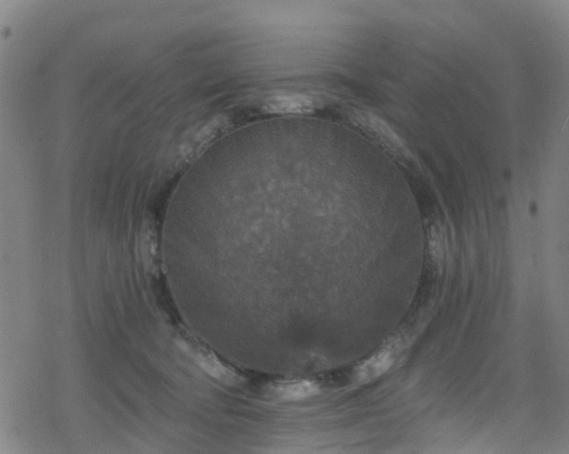 X0000078300322200611101140