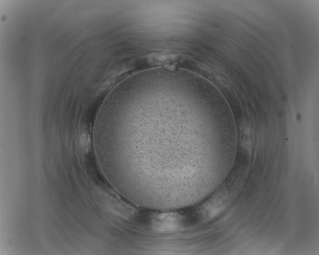 X0000078300324200611101140