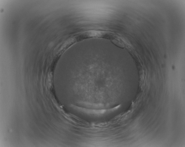 X0000078300325200611101140