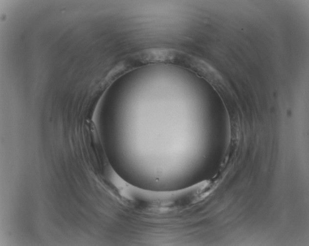 X0000078300326200611101140