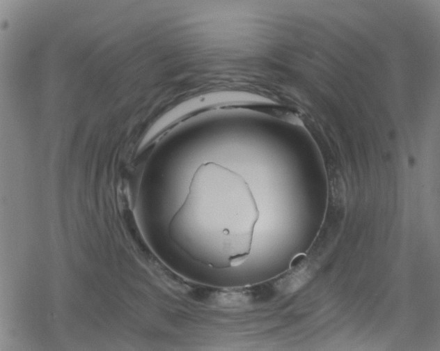 X0000078300327200611101140