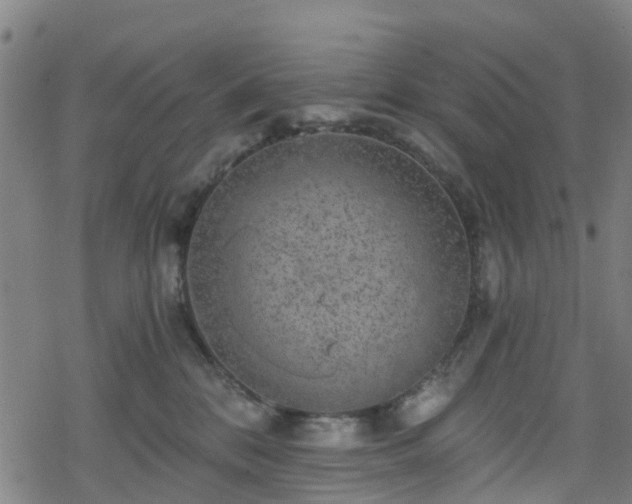 X0000078300328200611101140