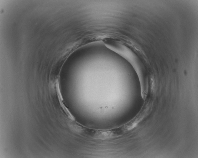 X0000078300329200611101140