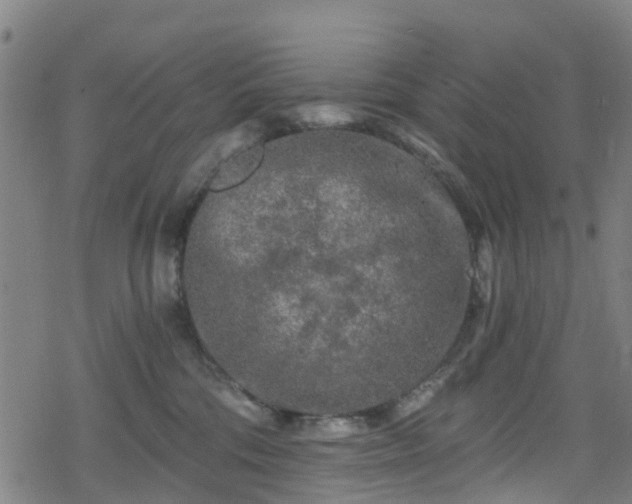 X0000078300330200611101140