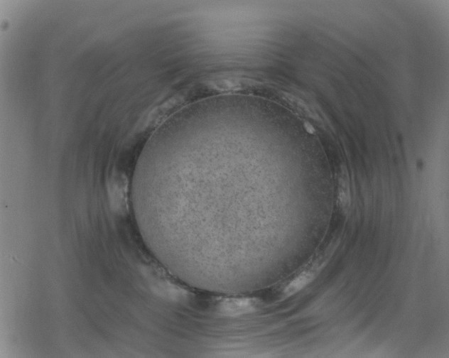 X0000078300332200611101140