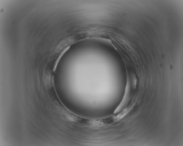 X0000078300333200611101140