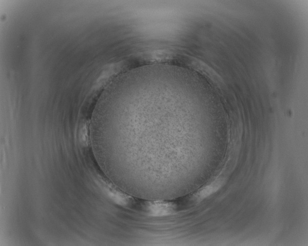 X0000078300336200611101140