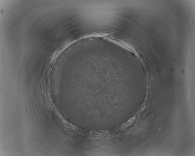 X0000078300337200611101139