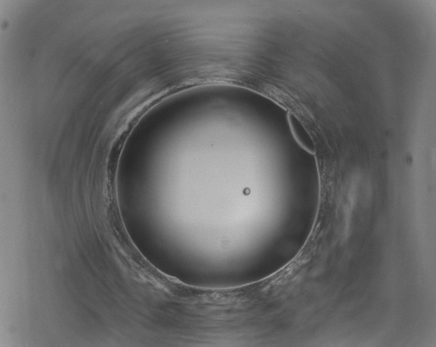 X0000078300338200611101139